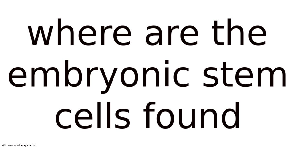 Where Are The Embryonic Stem Cells Found
