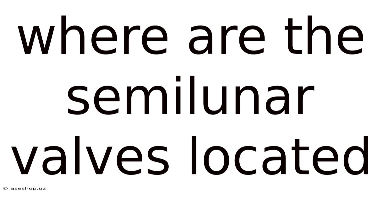 Where Are The Semilunar Valves Located