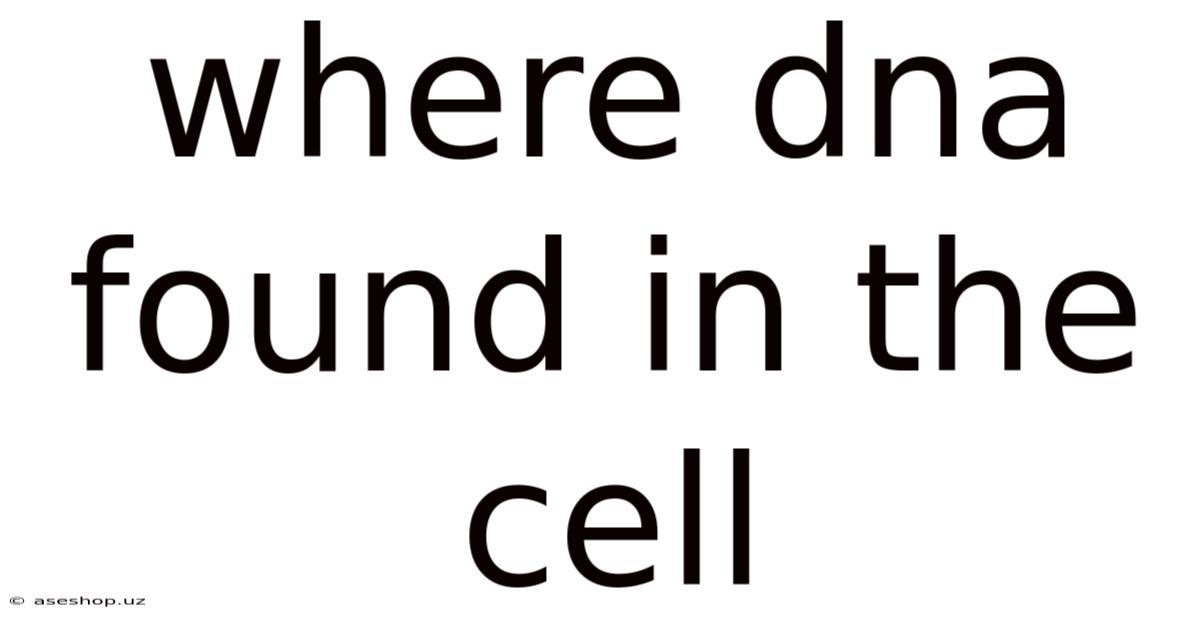 Where Dna Found In The Cell