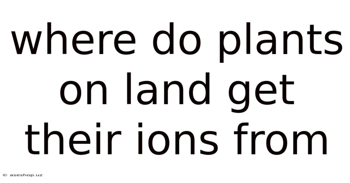 Where Do Plants On Land Get Their Ions From
