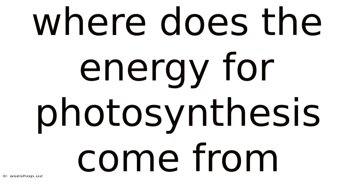 Where Does The Energy For Photosynthesis Come From