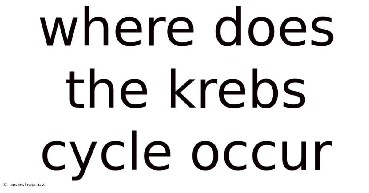 Where Does The Krebs Cycle Occur