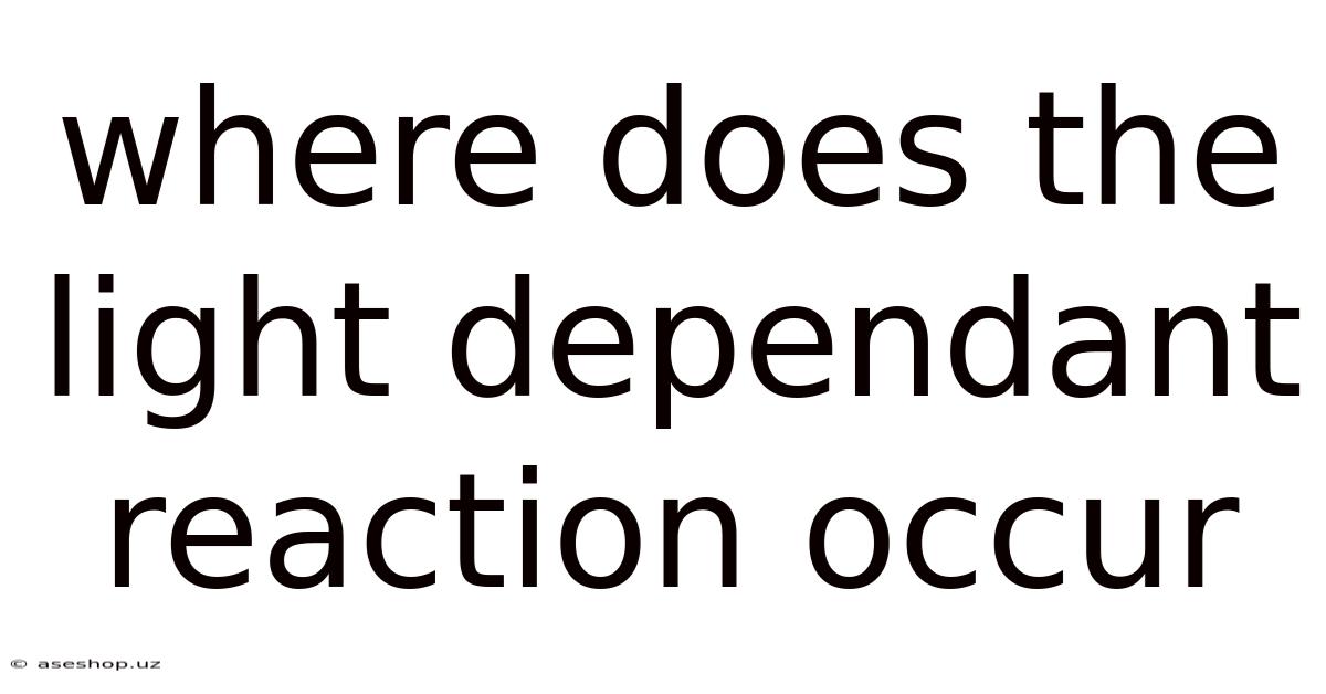 Where Does The Light Dependant Reaction Occur