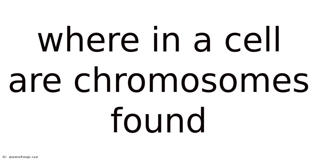 Where In A Cell Are Chromosomes Found