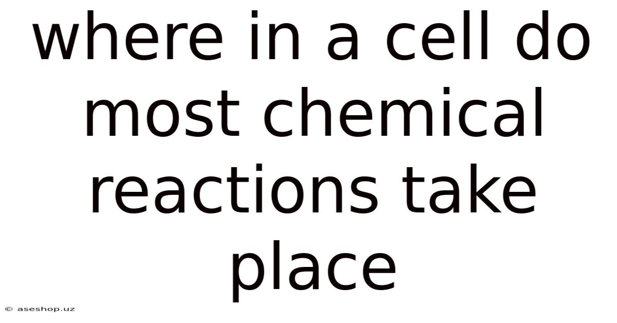 Where In A Cell Do Most Chemical Reactions Take Place