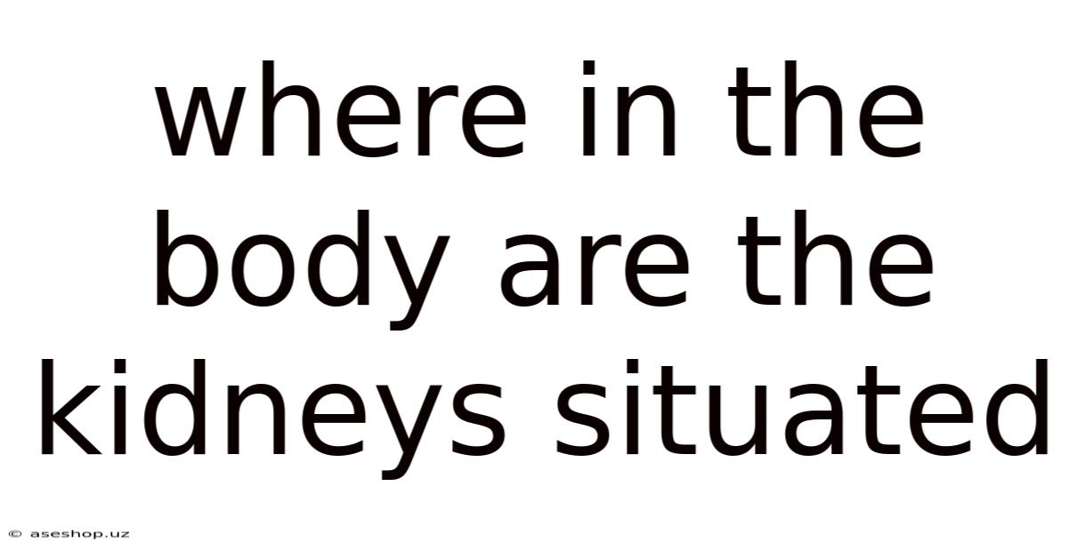 Where In The Body Are The Kidneys Situated