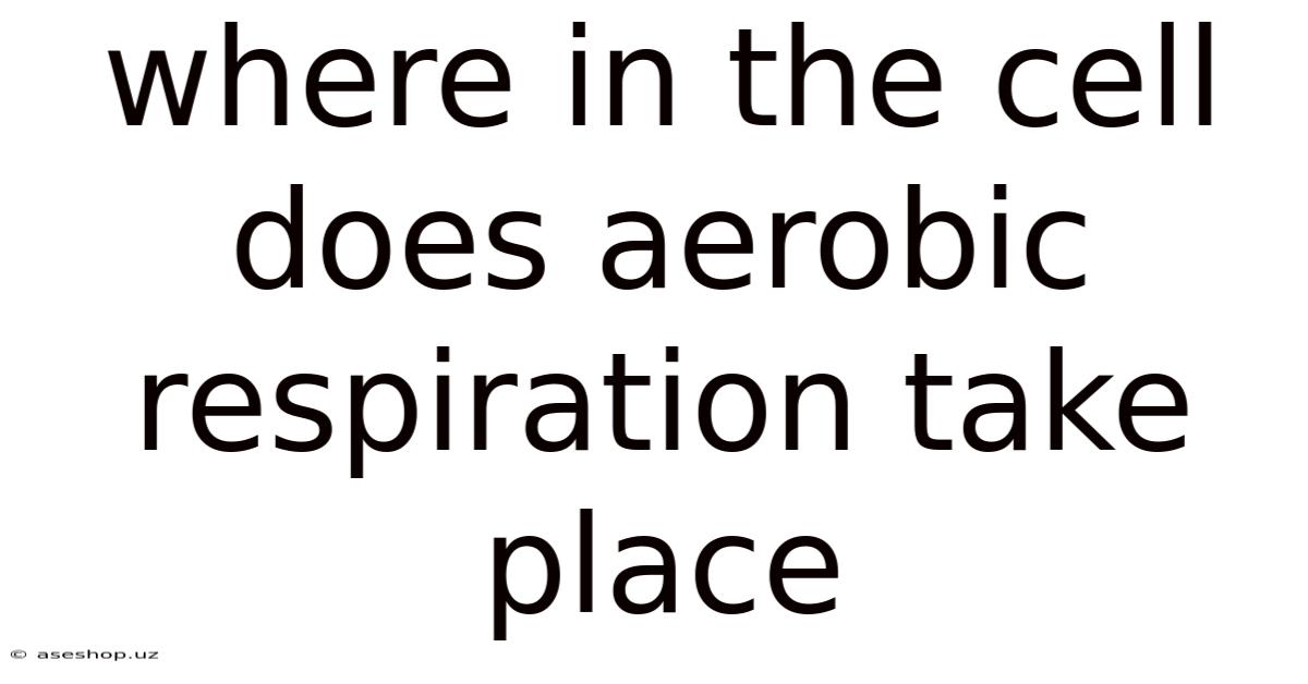 Where In The Cell Does Aerobic Respiration Take Place
