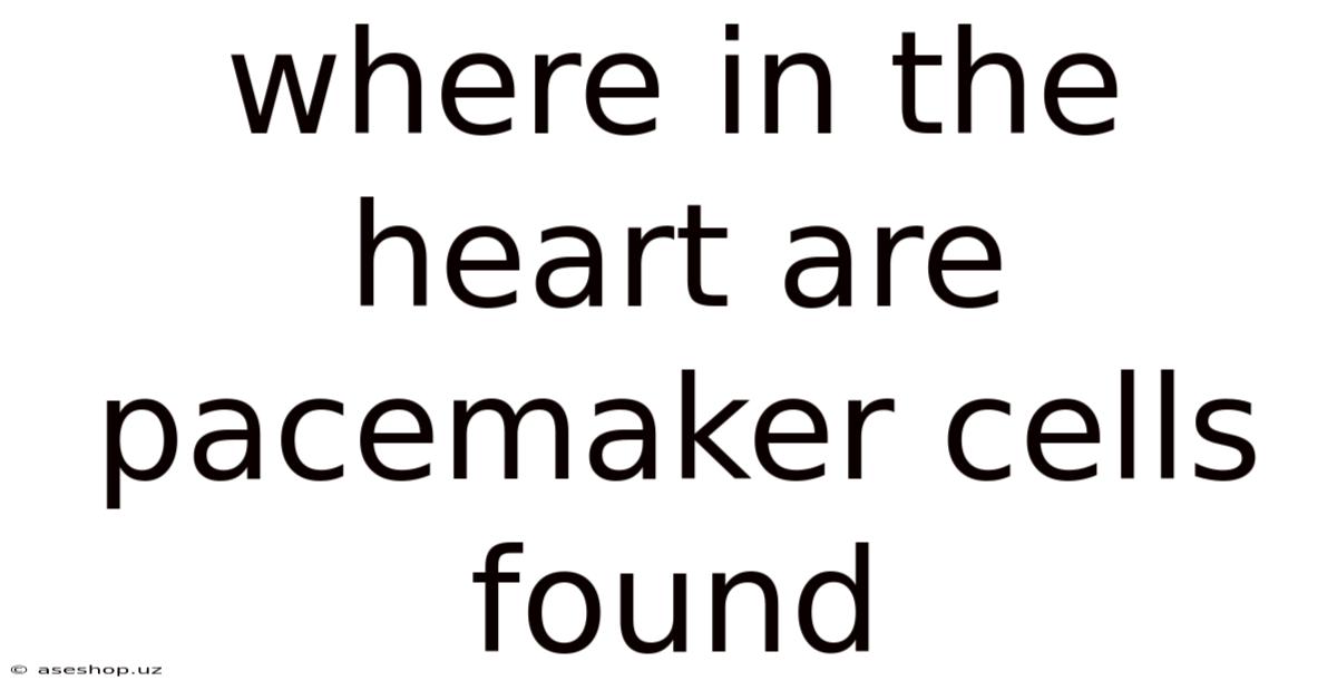 Where In The Heart Are Pacemaker Cells Found