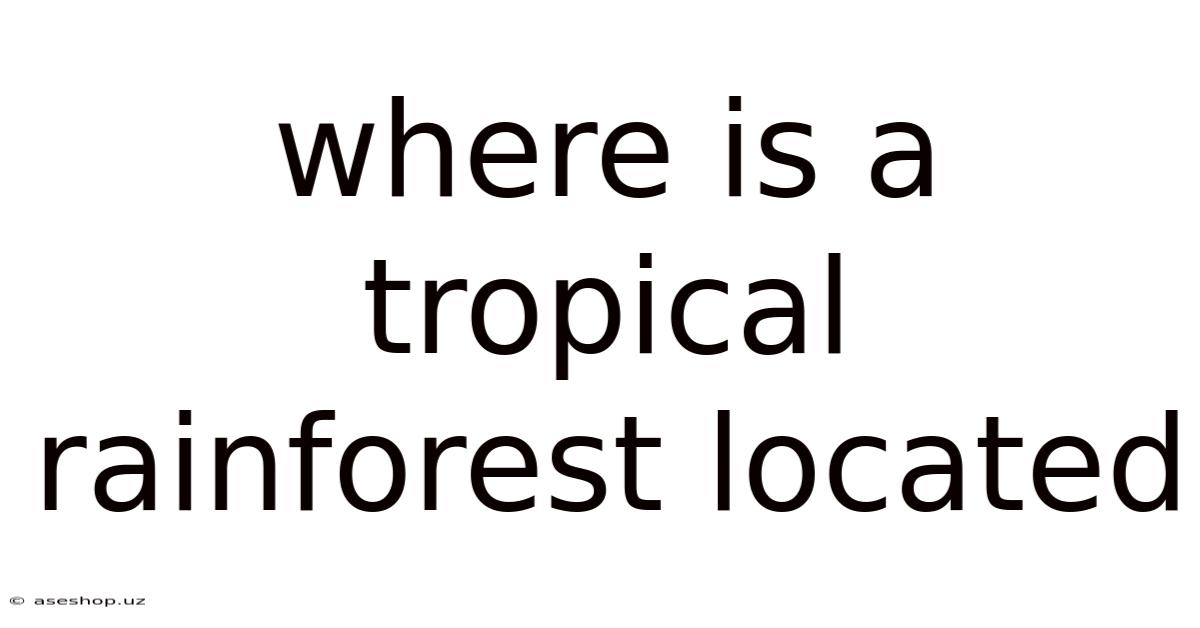 Where Is A Tropical Rainforest Located