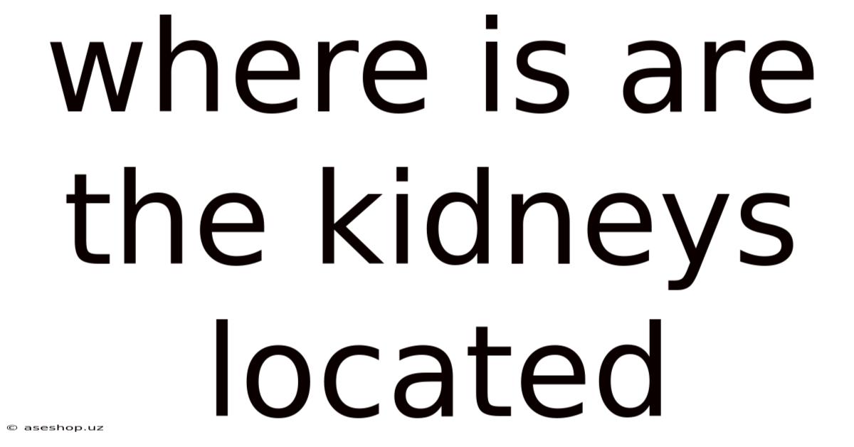 Where Is Are The Kidneys Located