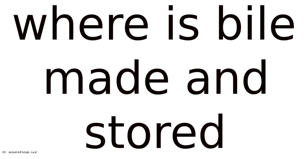Where Is Bile Made And Stored
