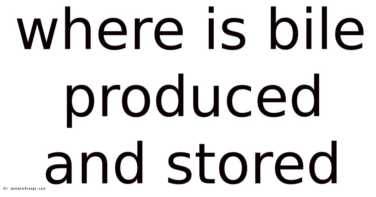 Where Is Bile Produced And Stored