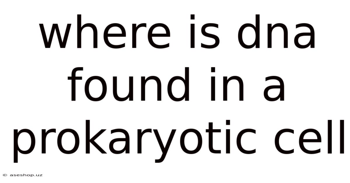 Where Is Dna Found In A Prokaryotic Cell