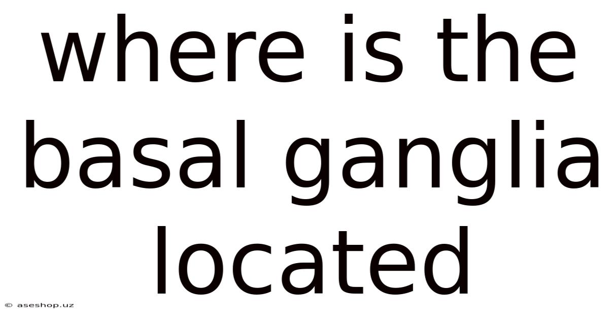 Where Is The Basal Ganglia Located