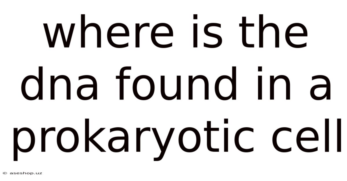 Where Is The Dna Found In A Prokaryotic Cell