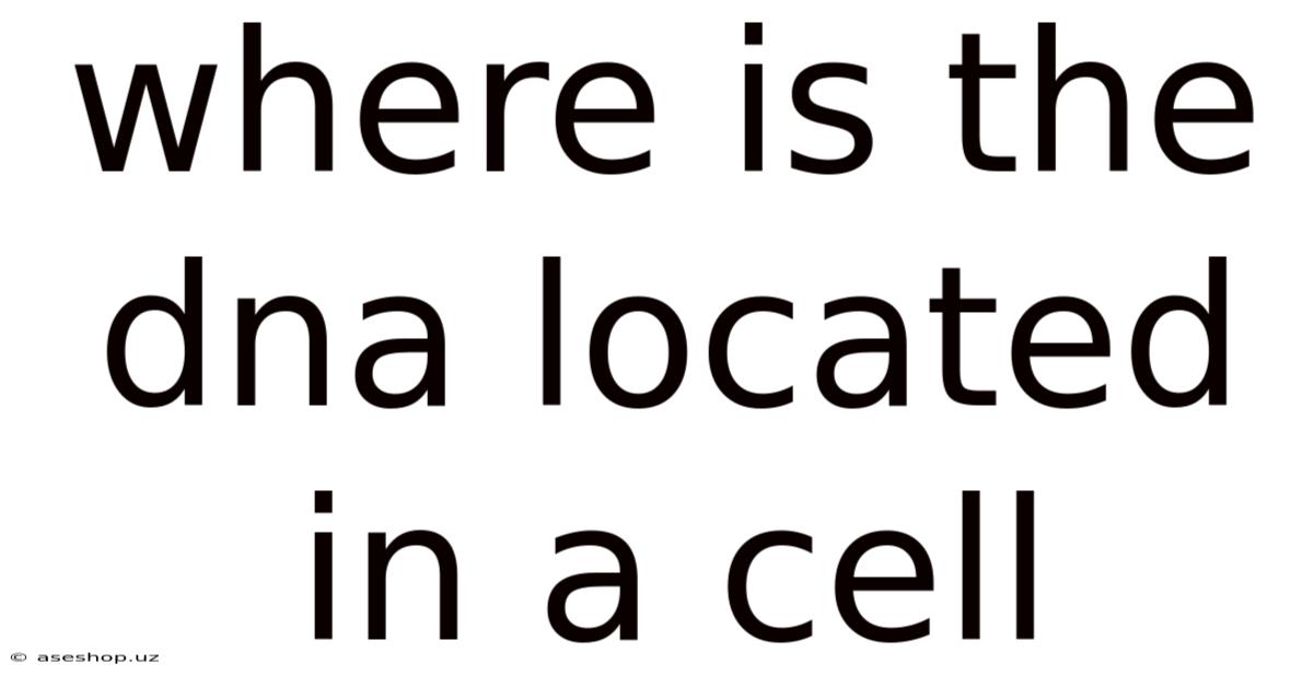 Where Is The Dna Located In A Cell
