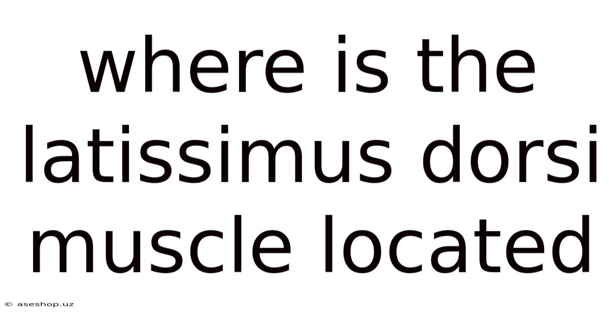 Where Is The Latissimus Dorsi Muscle Located