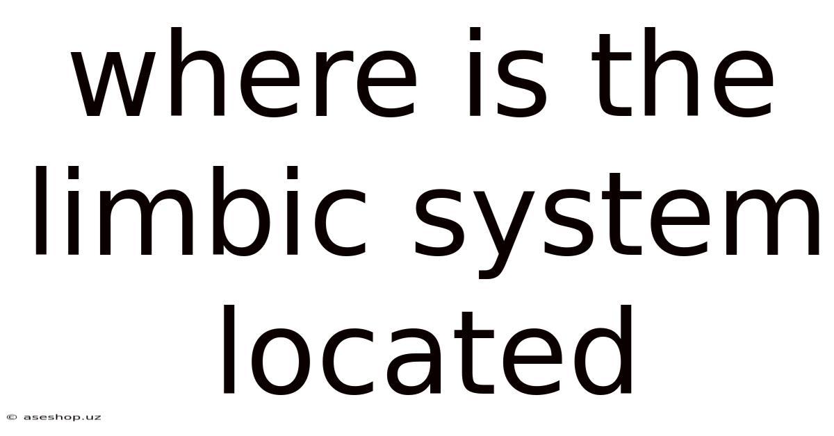 Where Is The Limbic System Located