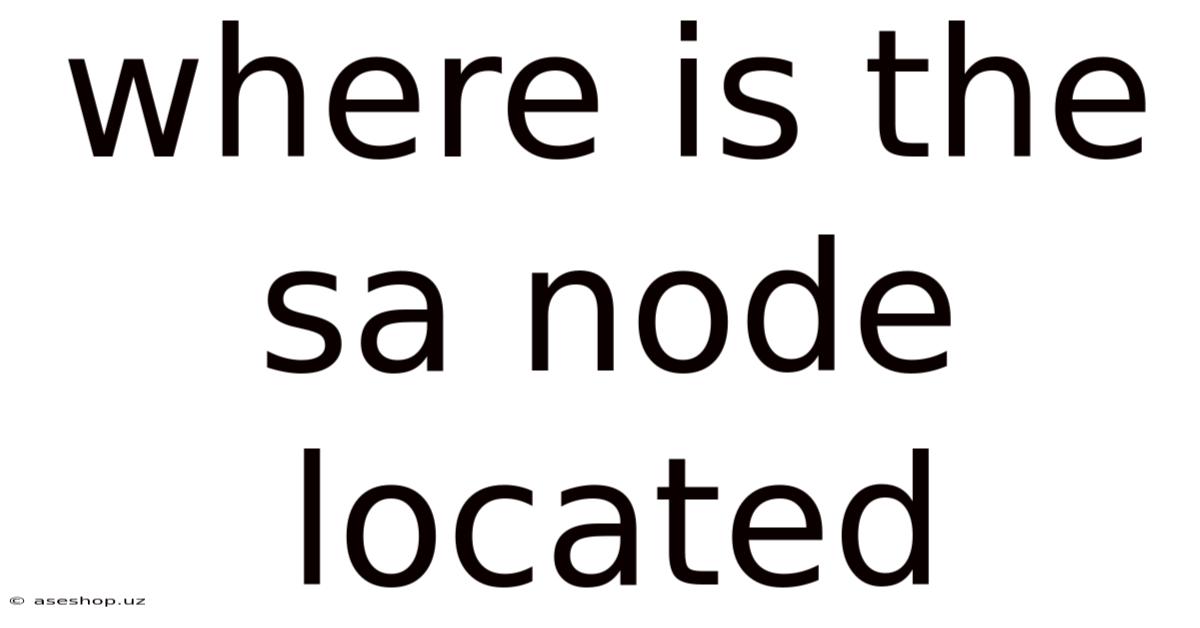 Where Is The Sa Node Located