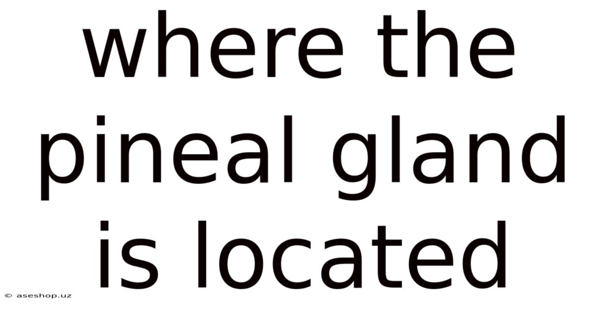 Where The Pineal Gland Is Located