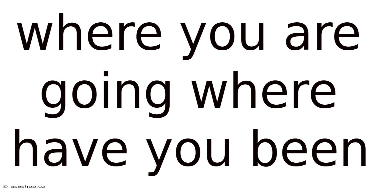 Where You Are Going Where Have You Been