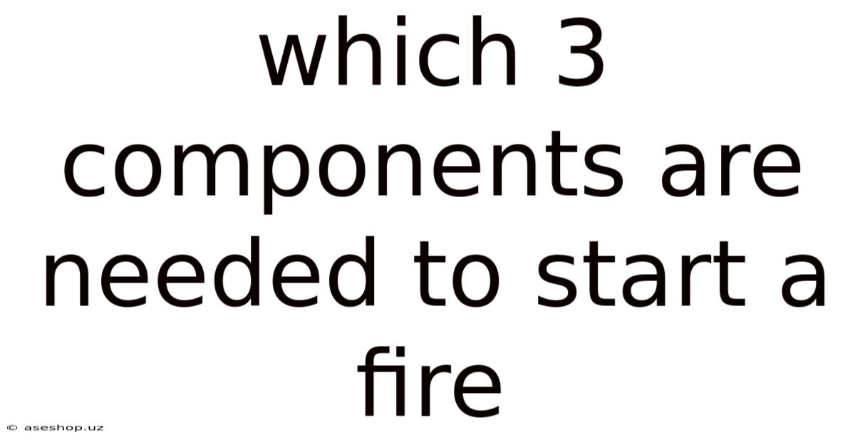 Which 3 Components Are Needed To Start A Fire