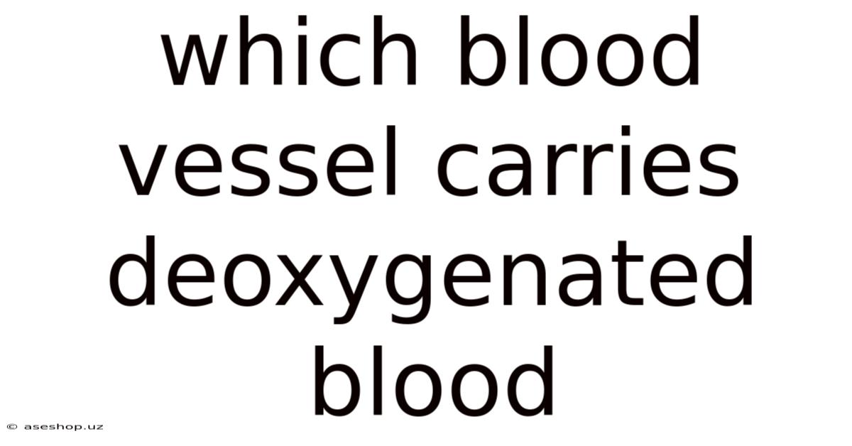 Which Blood Vessel Carries Deoxygenated Blood