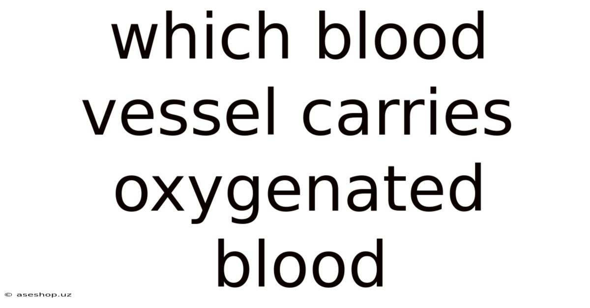 Which Blood Vessel Carries Oxygenated Blood