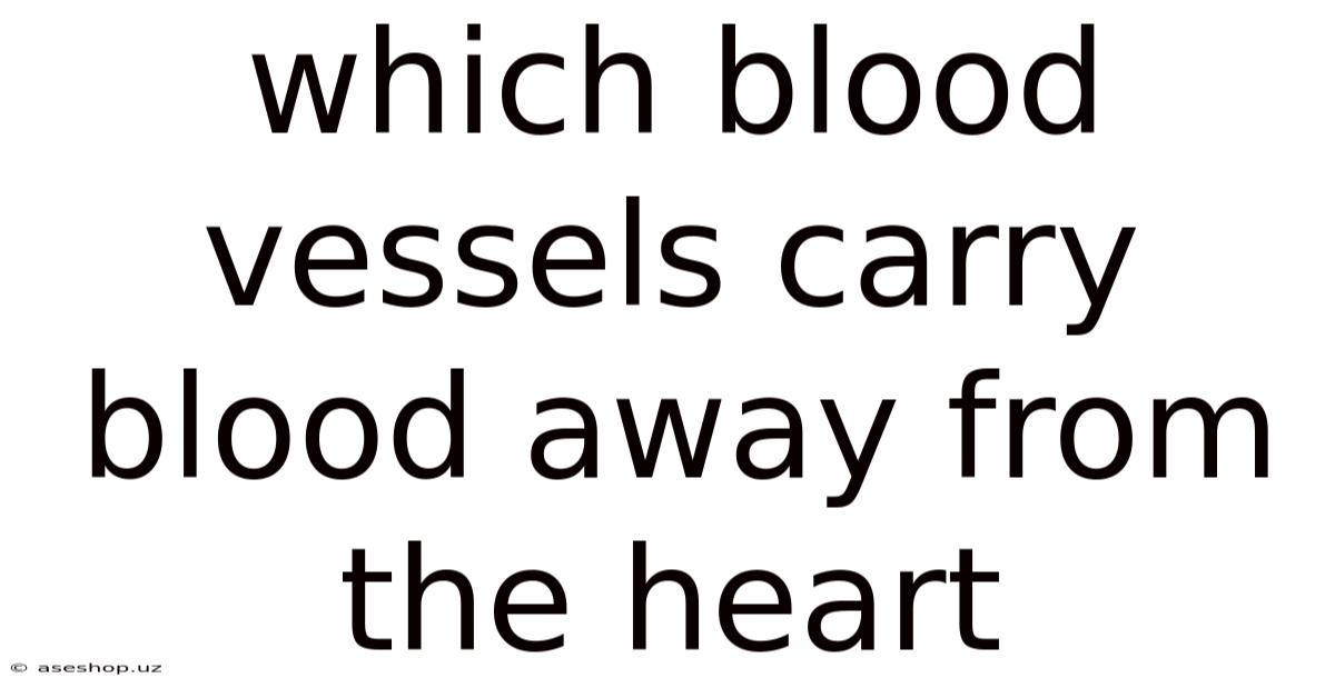 Which Blood Vessels Carry Blood Away From The Heart