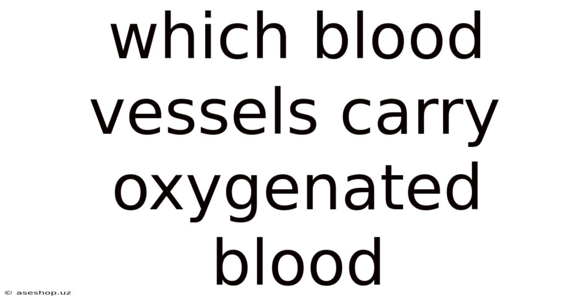 Which Blood Vessels Carry Oxygenated Blood