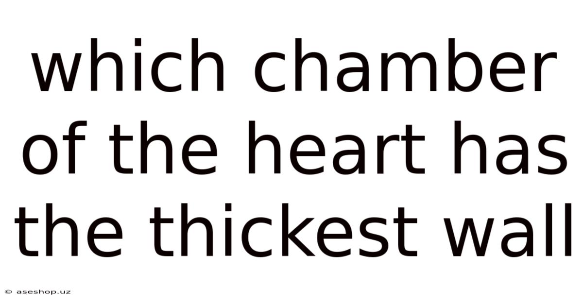 Which Chamber Of The Heart Has The Thickest Wall