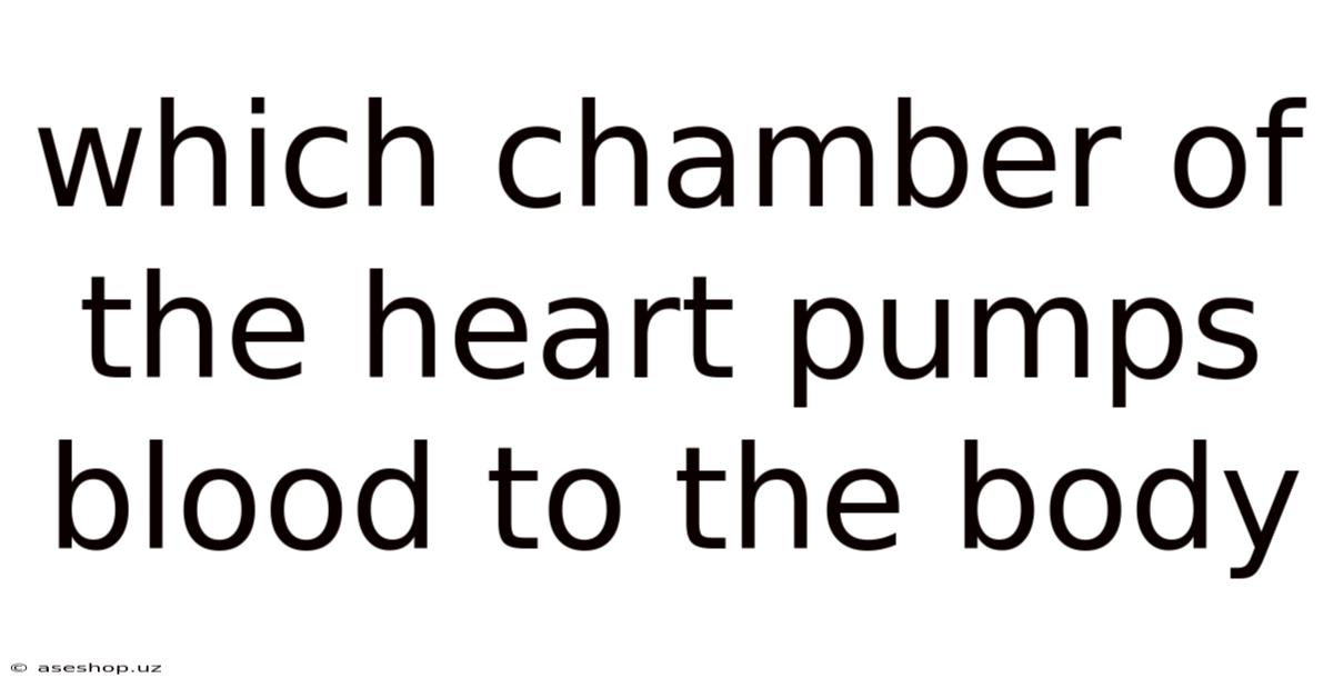 Which Chamber Of The Heart Pumps Blood To The Body