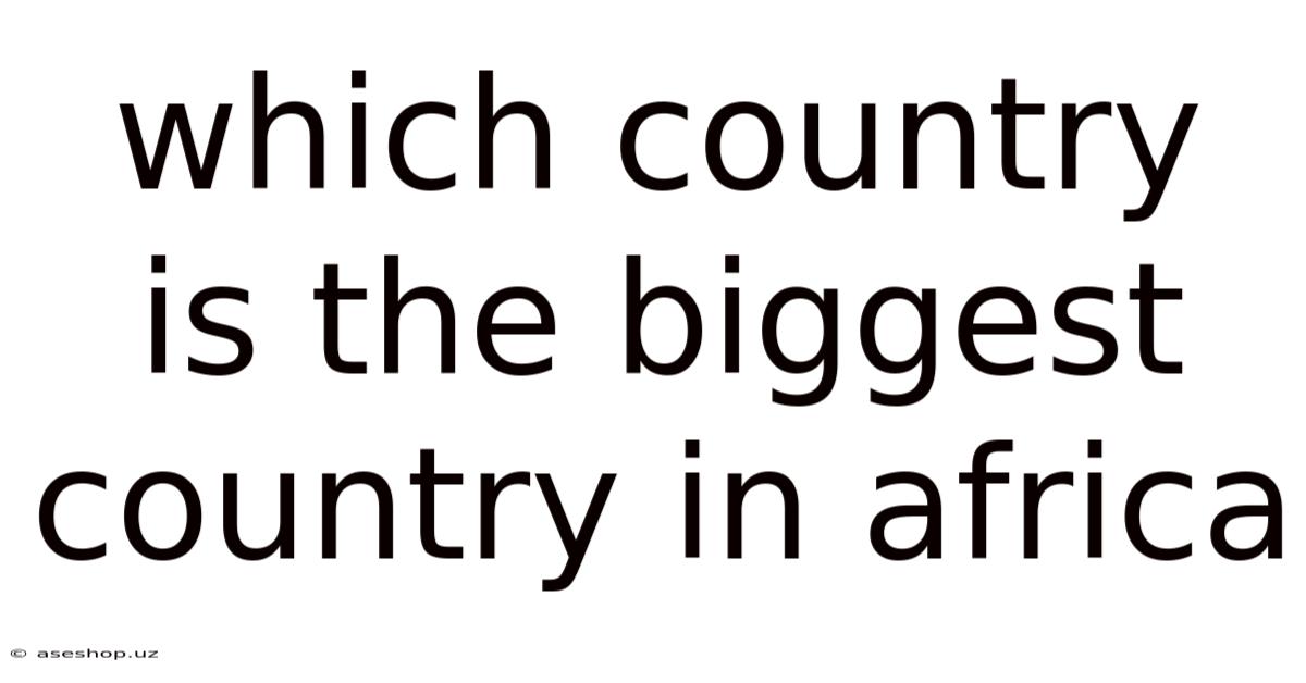 Which Country Is The Biggest Country In Africa