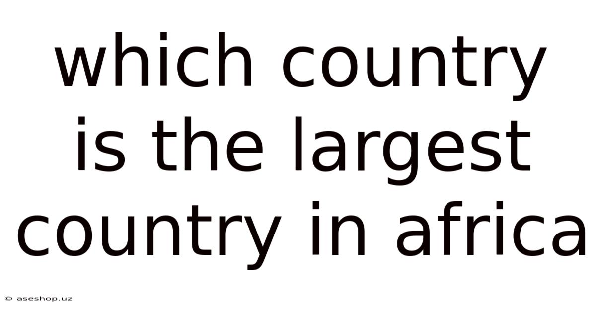 Which Country Is The Largest Country In Africa