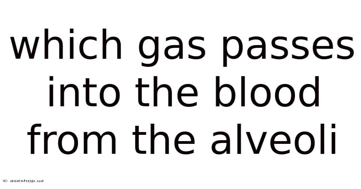 Which Gas Passes Into The Blood From The Alveoli