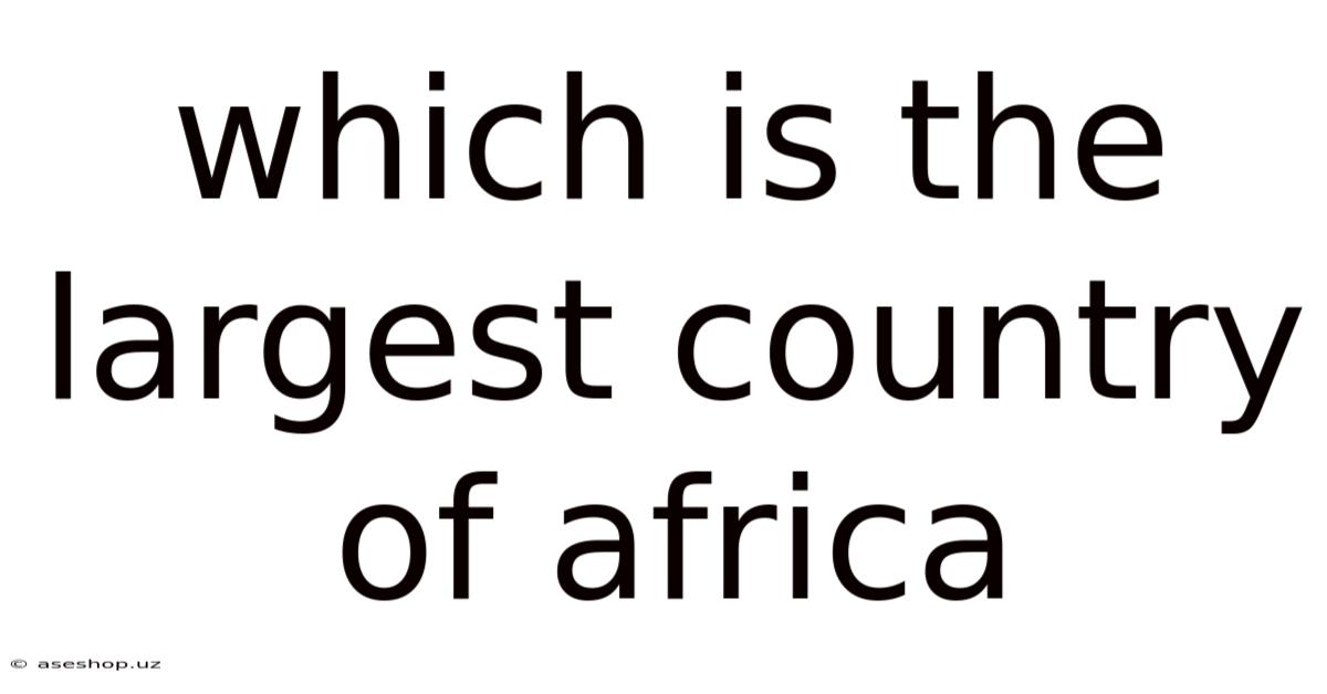 Which Is The Largest Country Of Africa