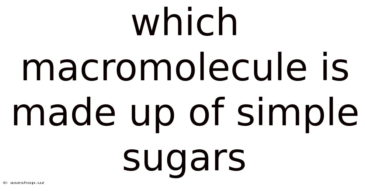 Which Macromolecule Is Made Up Of Simple Sugars
