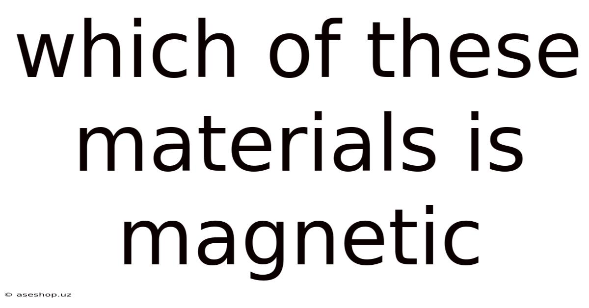 Which Of These Materials Is Magnetic