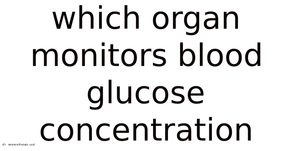 Which Organ Monitors Blood Glucose Concentration