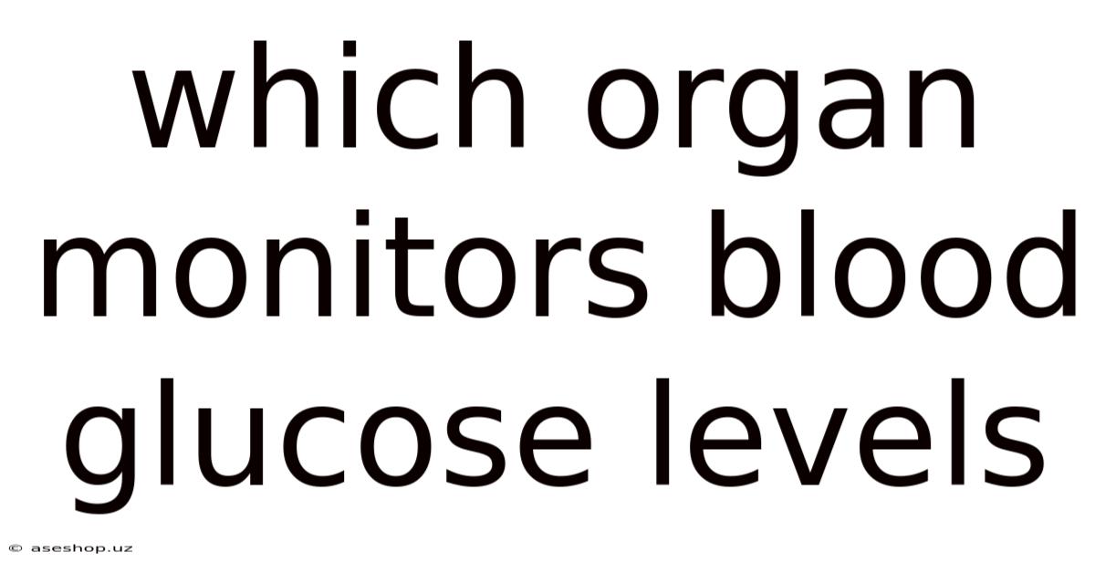 Which Organ Monitors Blood Glucose Levels