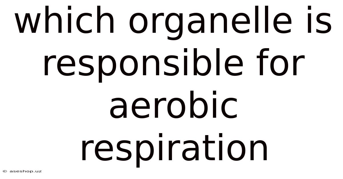 Which Organelle Is Responsible For Aerobic Respiration