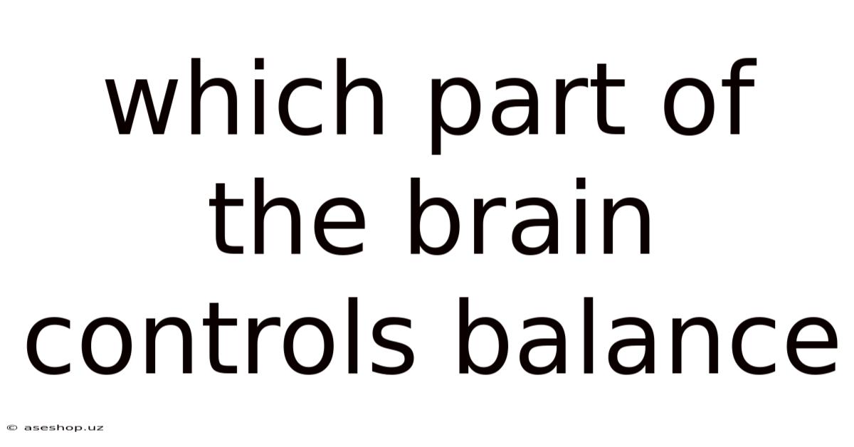 Which Part Of The Brain Controls Balance