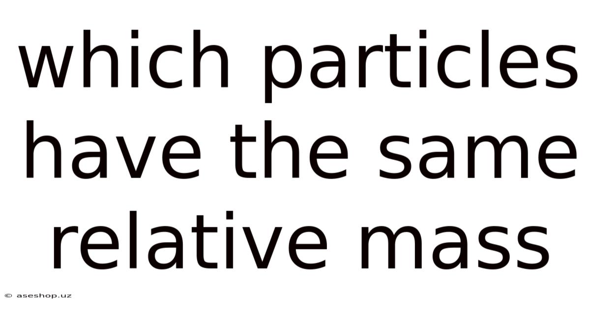 Which Particles Have The Same Relative Mass