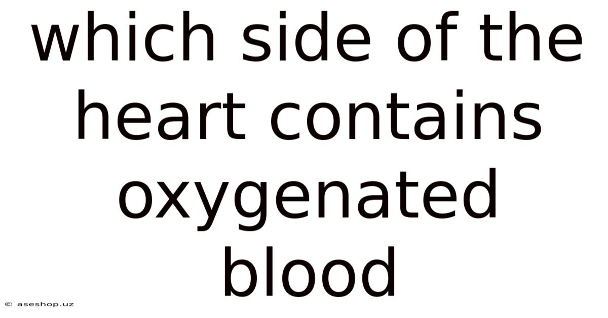 Which Side Of The Heart Contains Oxygenated Blood