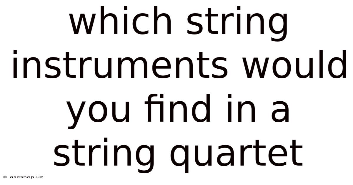 Which String Instruments Would You Find In A String Quartet