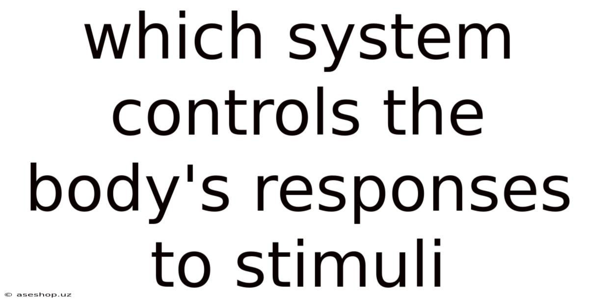 Which System Controls The Body's Responses To Stimuli