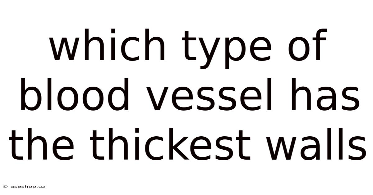 Which Type Of Blood Vessel Has The Thickest Walls