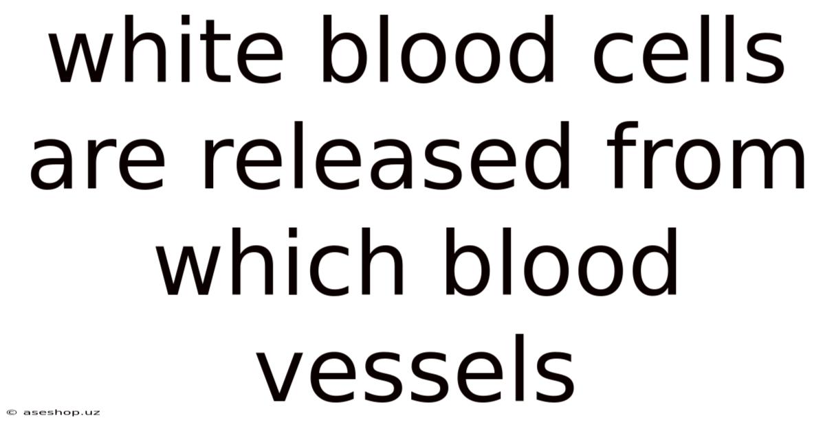 White Blood Cells Are Released From Which Blood Vessels
