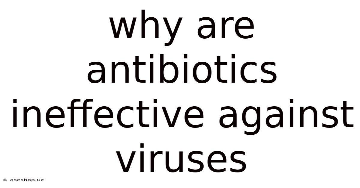 Why Are Antibiotics Ineffective Against Viruses