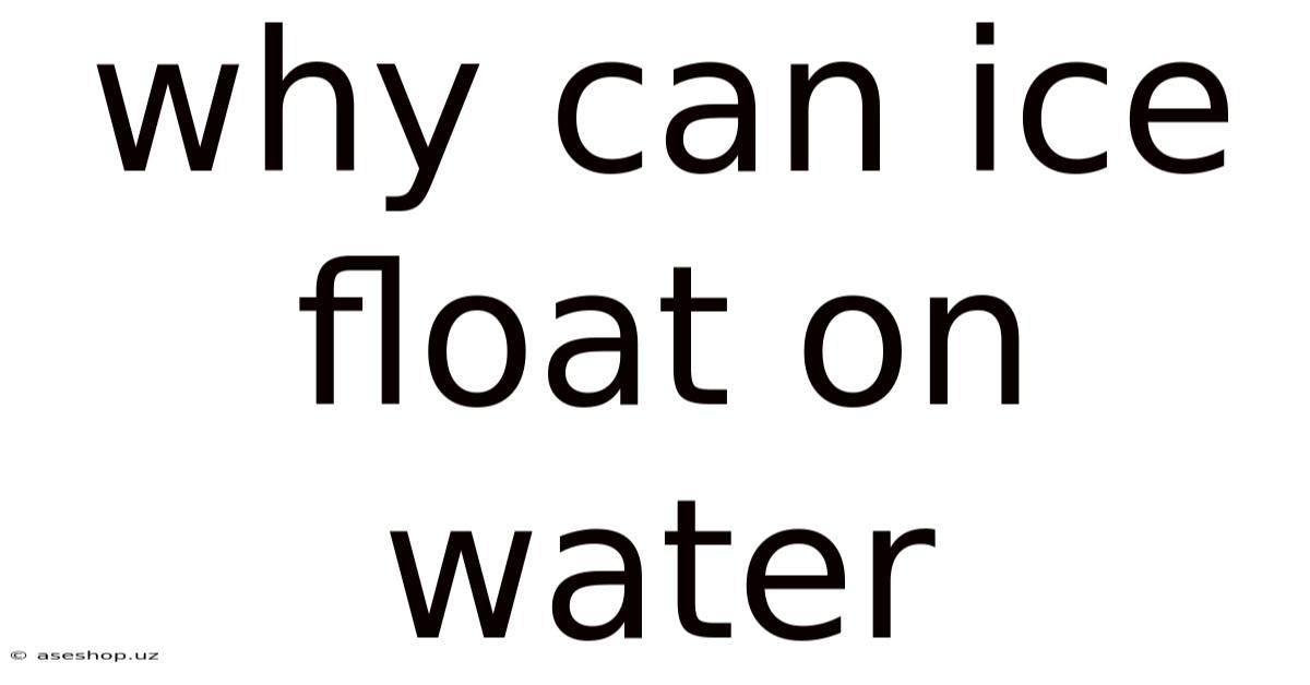 Why Can Ice Float On Water
